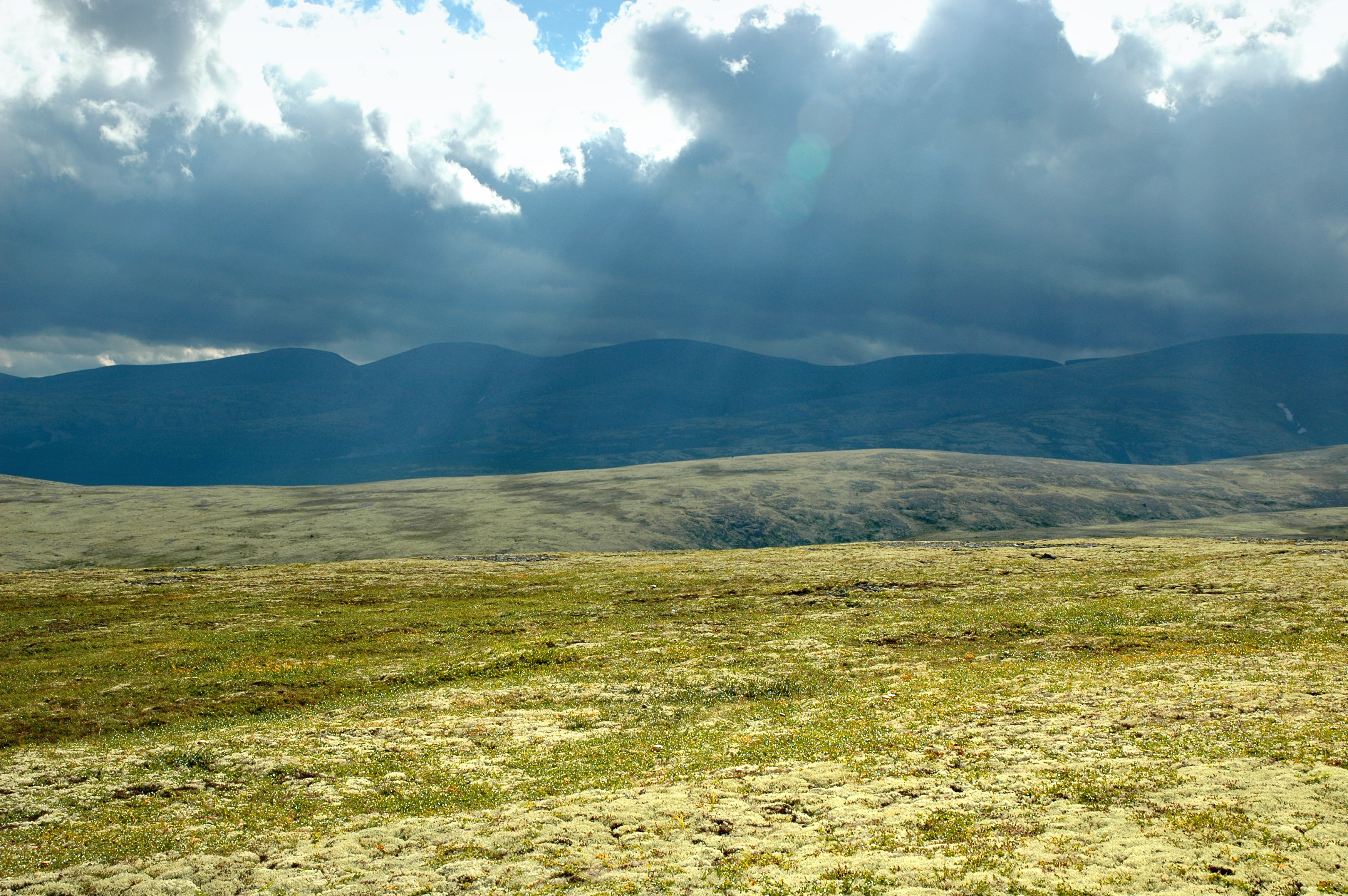 В Арктике появилось сообщество для женщин-предпринимателей
