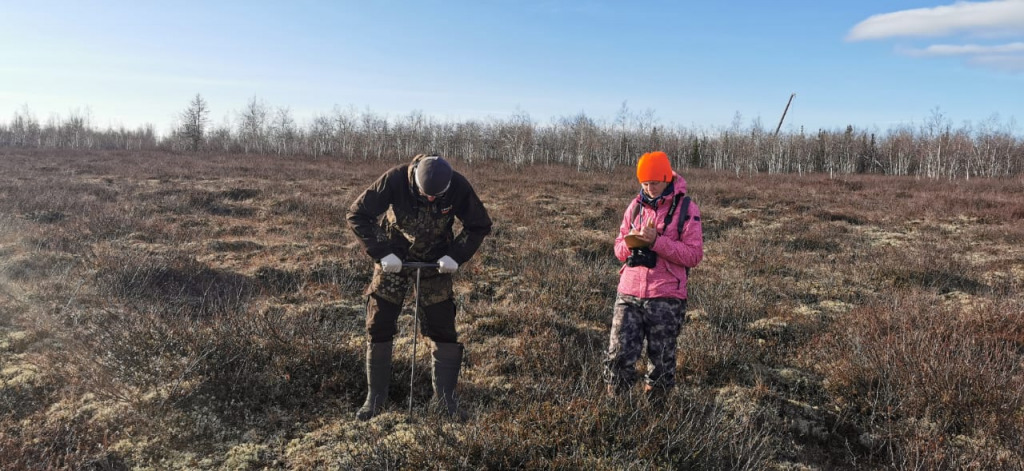 На Ямале измерят оттаивание многолетней мерзлоты