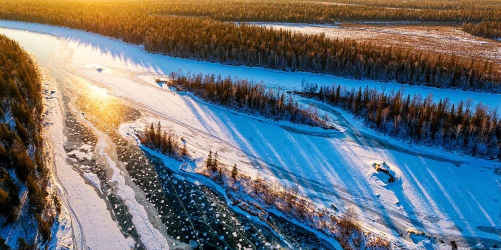 ПОРА планирует реализовать лесоклиматический проект в Якутии