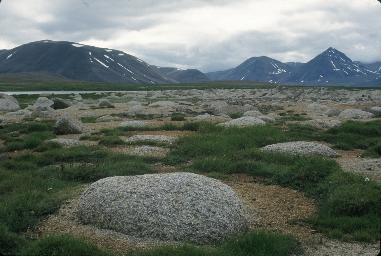 Эксперты Общественного совета при Минприроды дадут оценку выполнению нацпроекта «Экология»