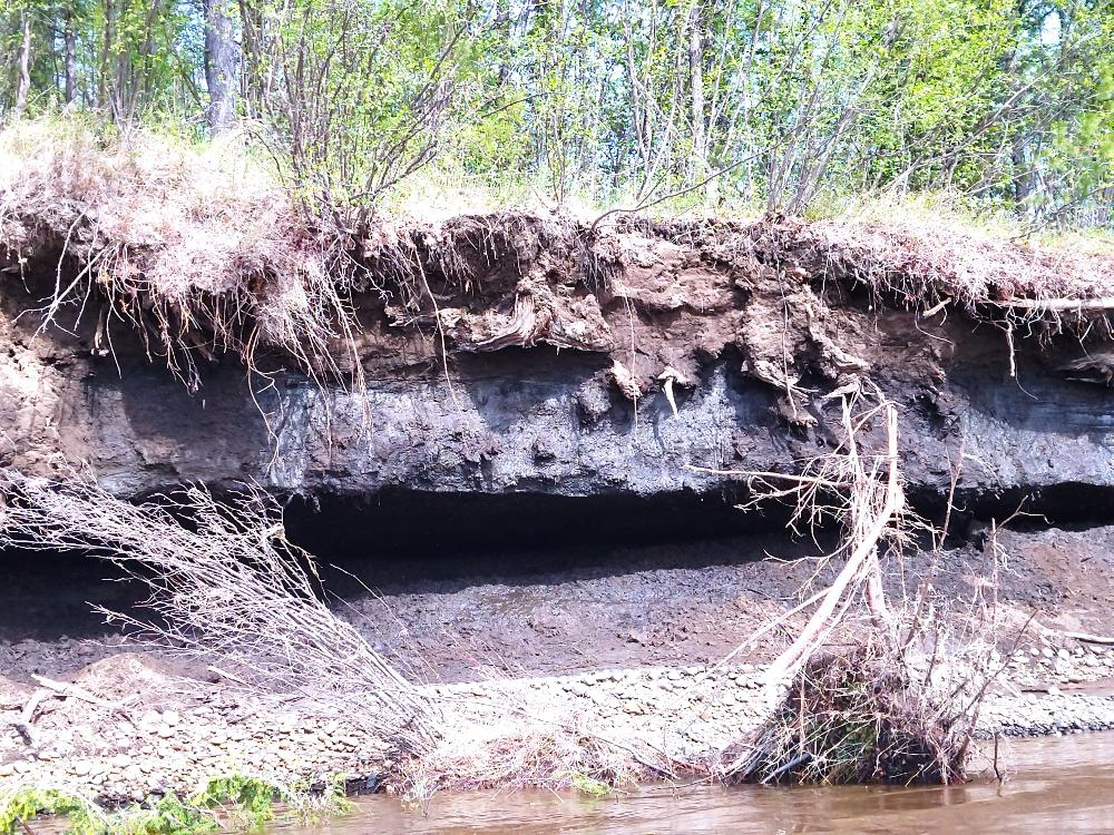 Эвенкийская фактория Учами