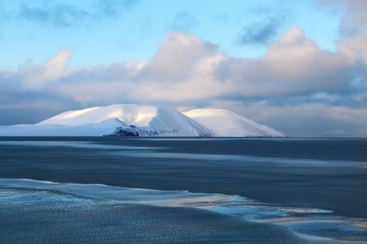 Рассылка «ПОРА в Арктику! GoArctic!» – выпуск от 26 апреля 2025 года Рассылка «ПОРА в Арктику! GoArctic!» – выпуск от 26 апреля 2025 года