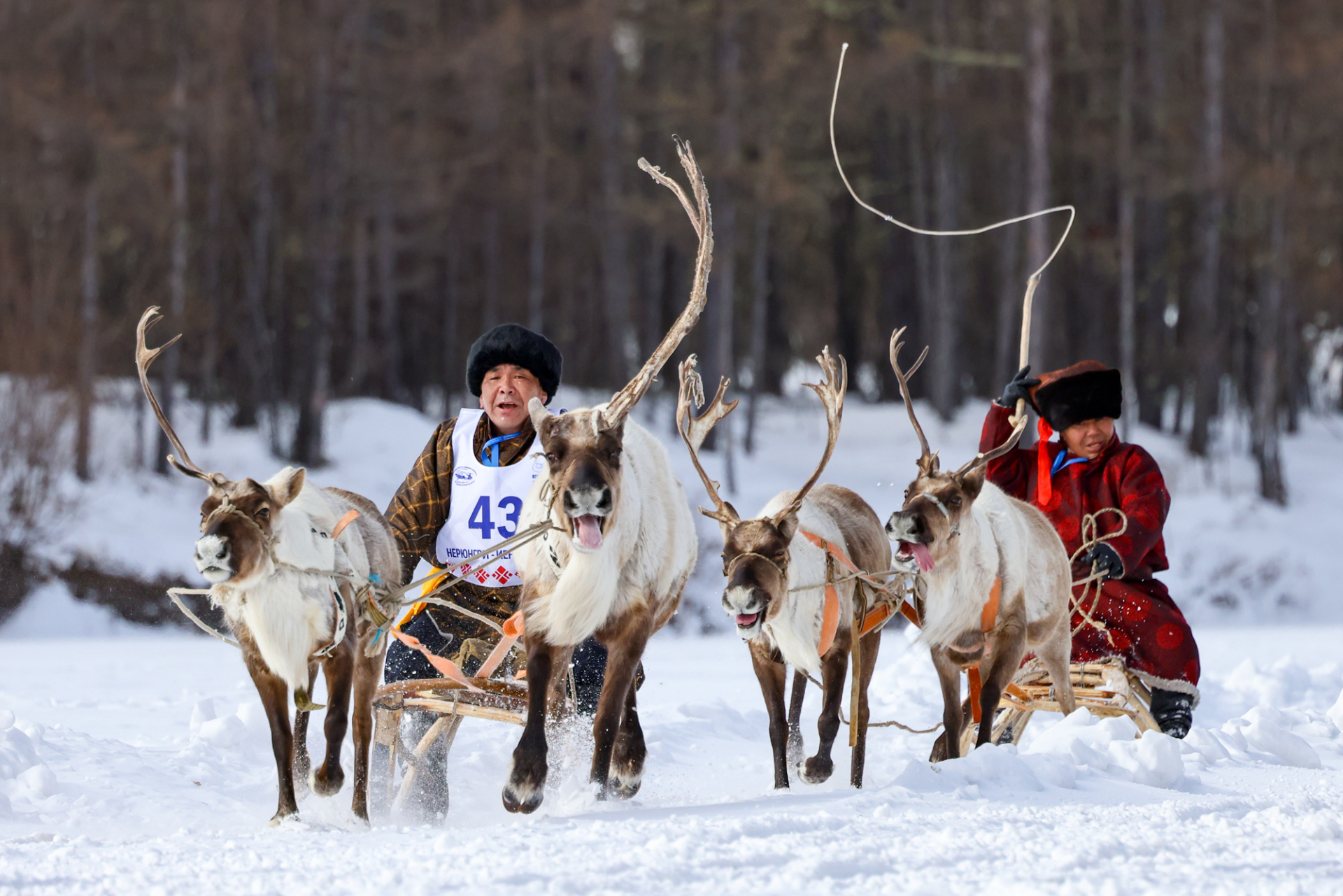 Международный чемпионат по традиционному оленеводству прошёл в Якутии
