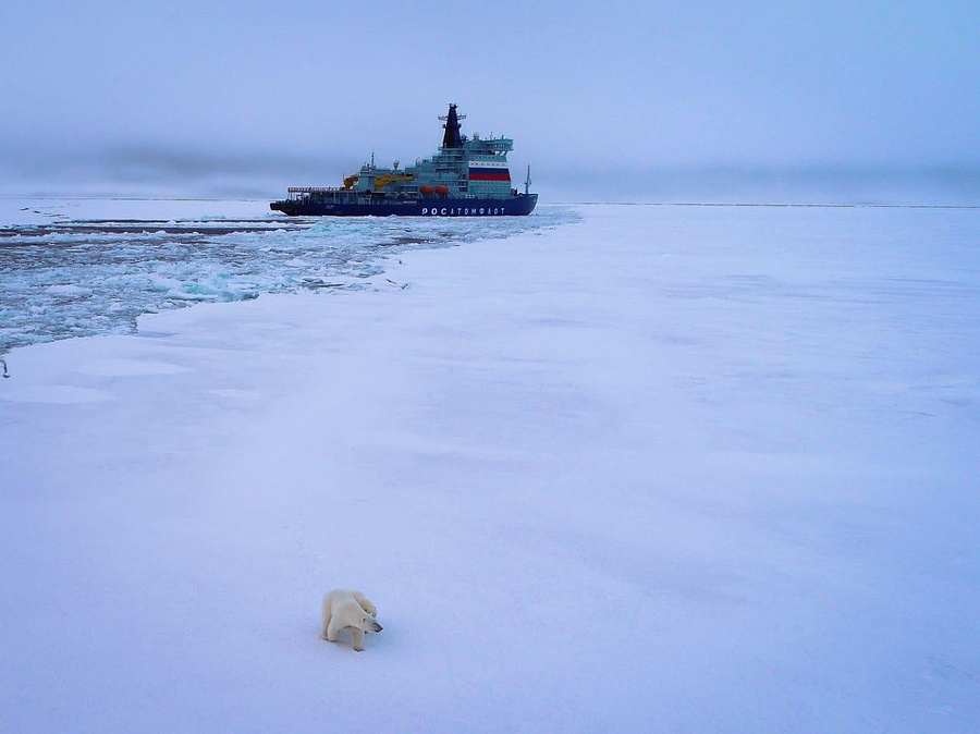 Атомный ледокол «Арктика» покорил Северный полюс