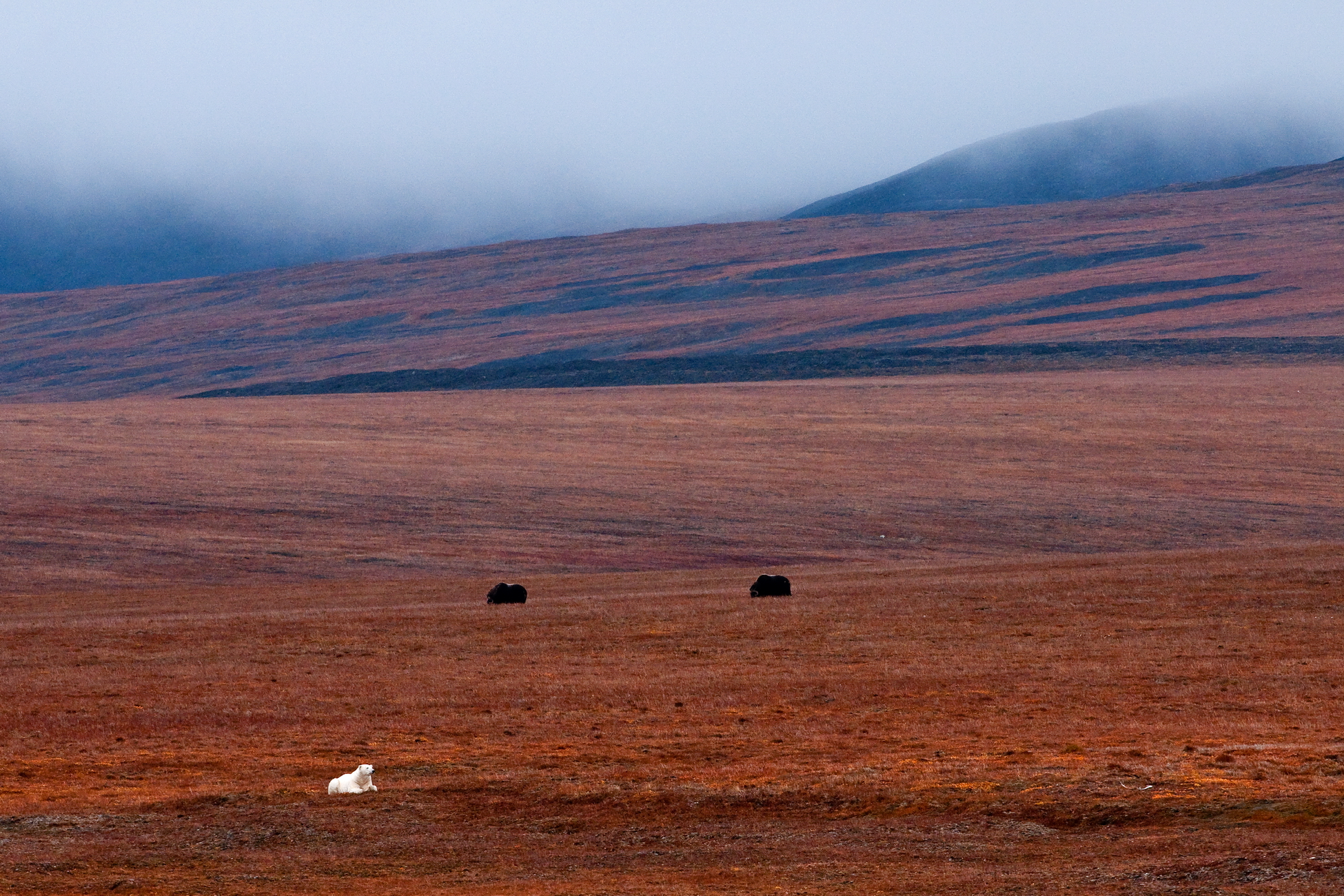 85% жителей России хотели бы больше знать об Арктике