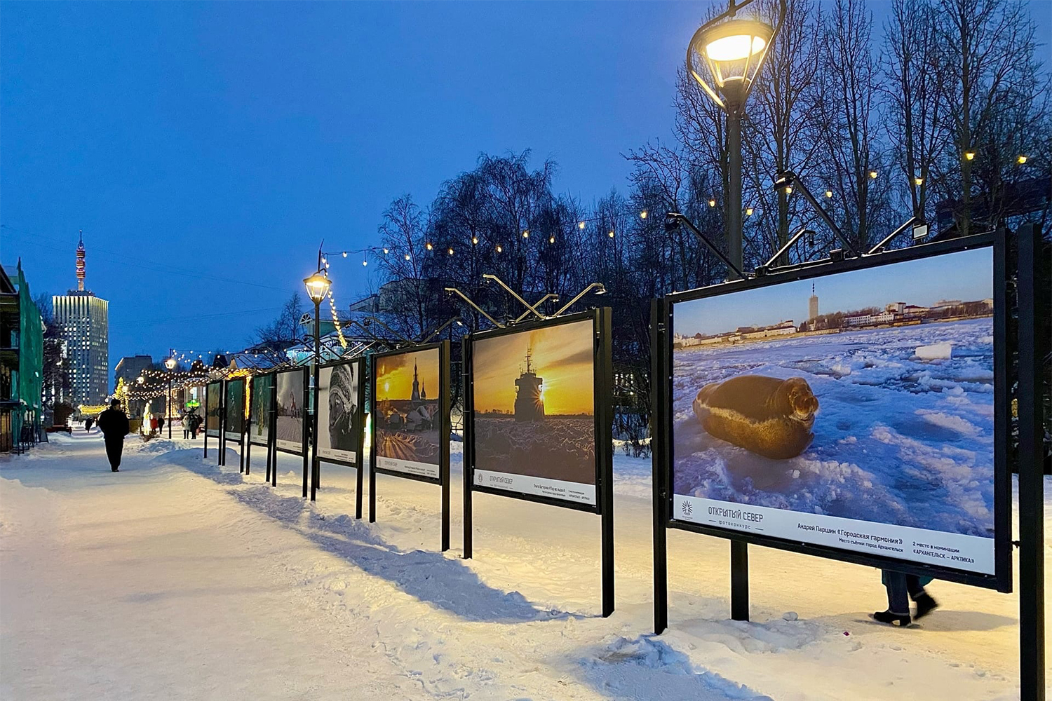 Уличная фотовыставка конкурса «Открытый Север – 2022» открылась в Архангельске