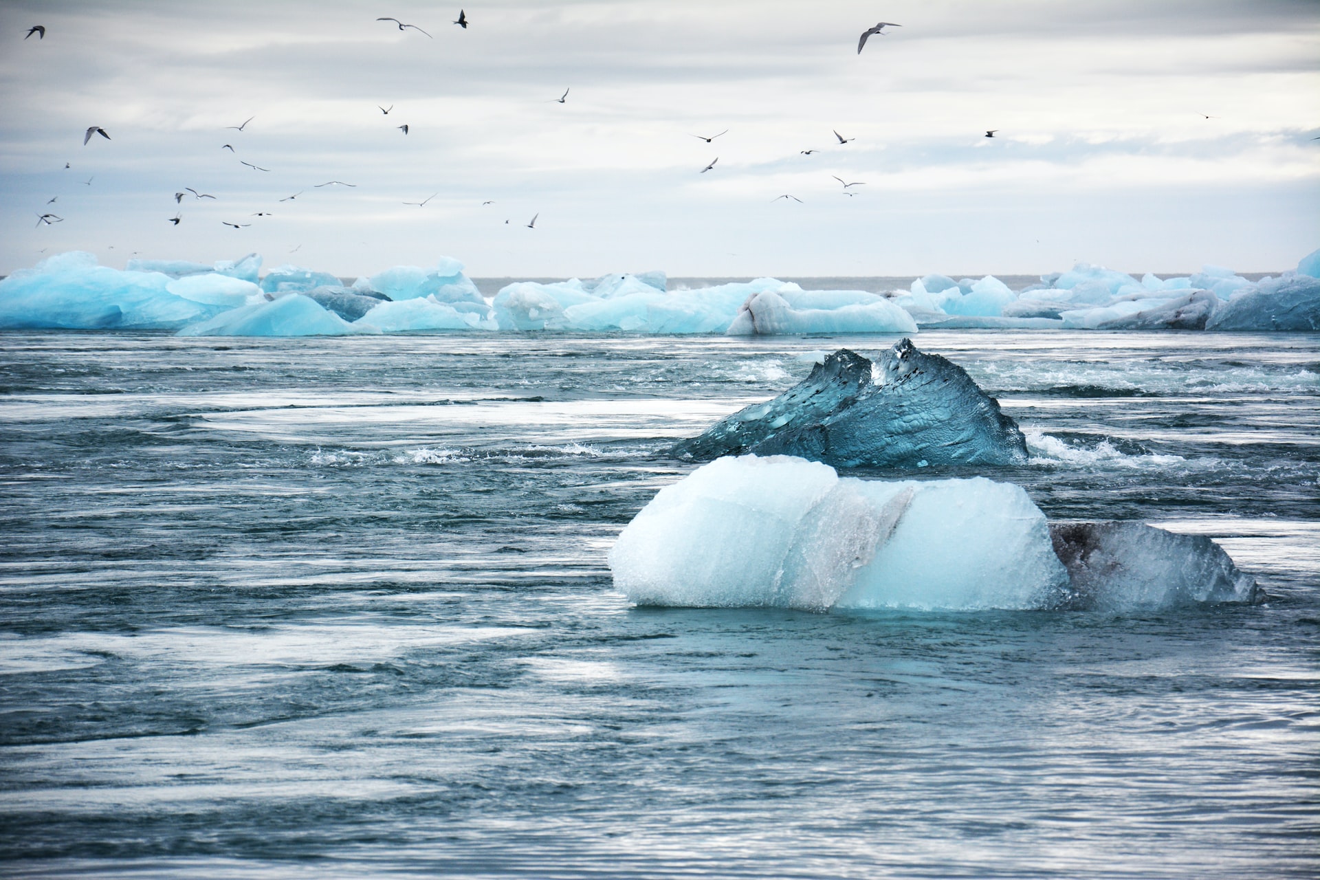 Арктика сегодня: суда, новое направление и таймырский туркластер