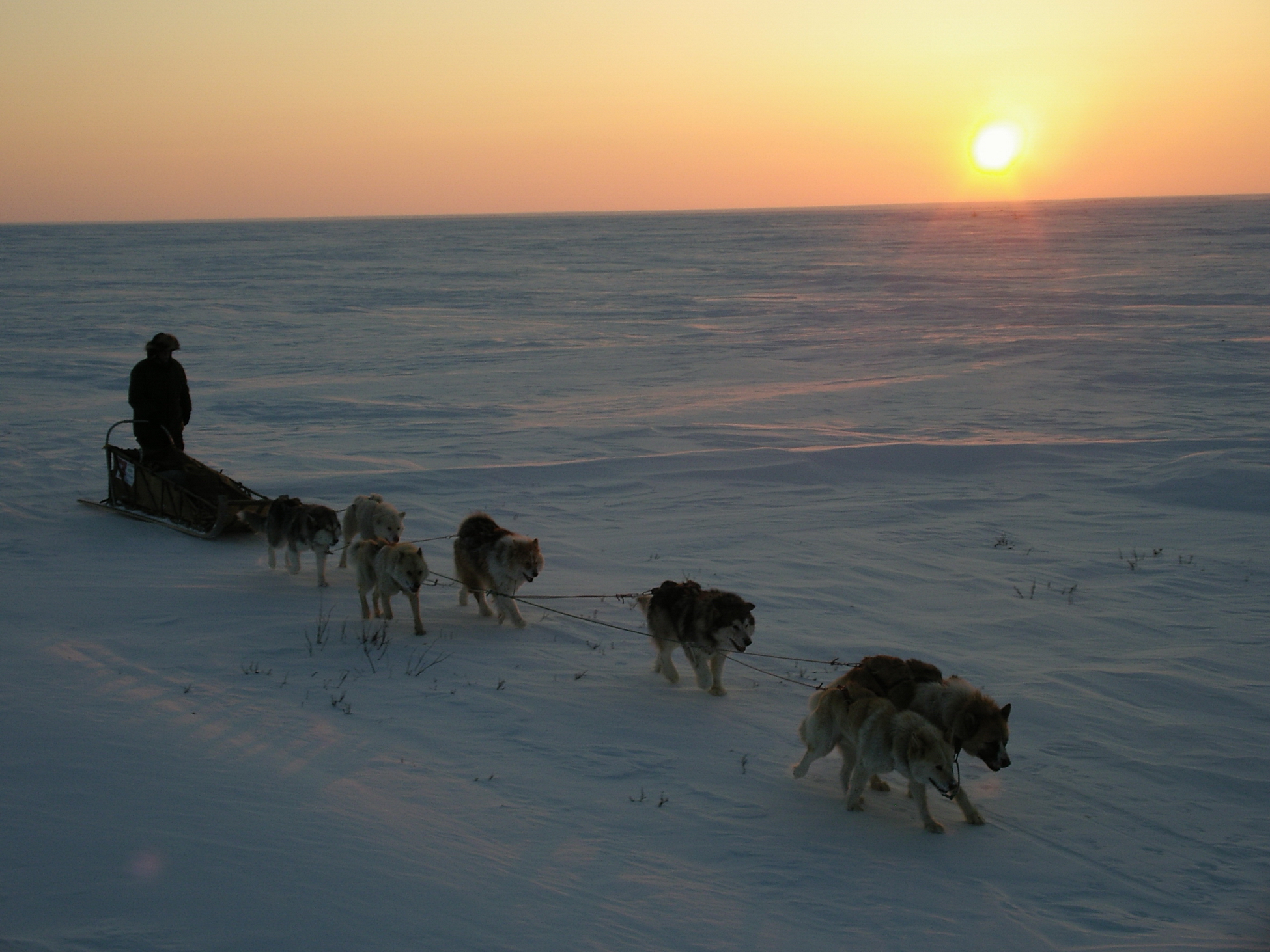 Арктика за неделю: важнейшие темы арктической повестки с 27 по 29 декабря
