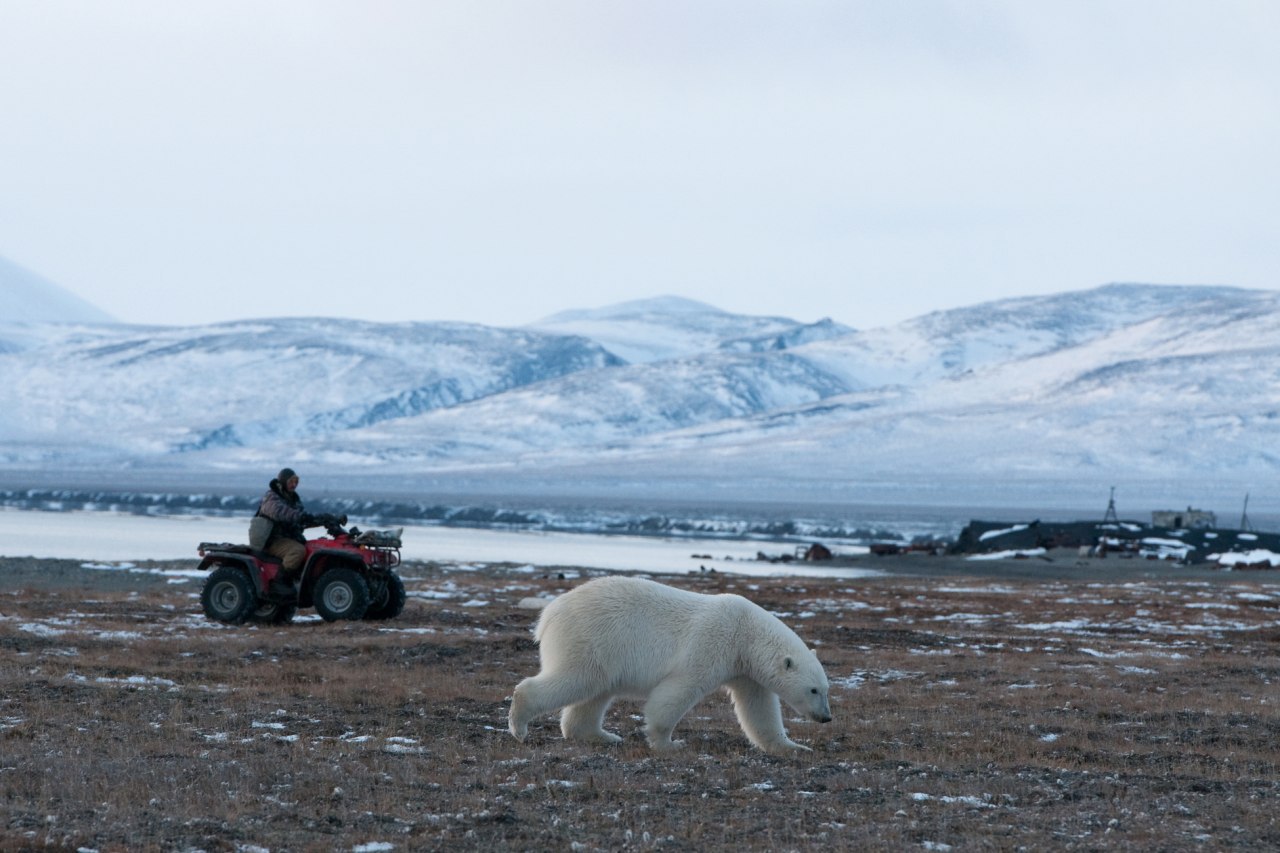 Арктика сегодня: энергетика, рыба и международные исследования