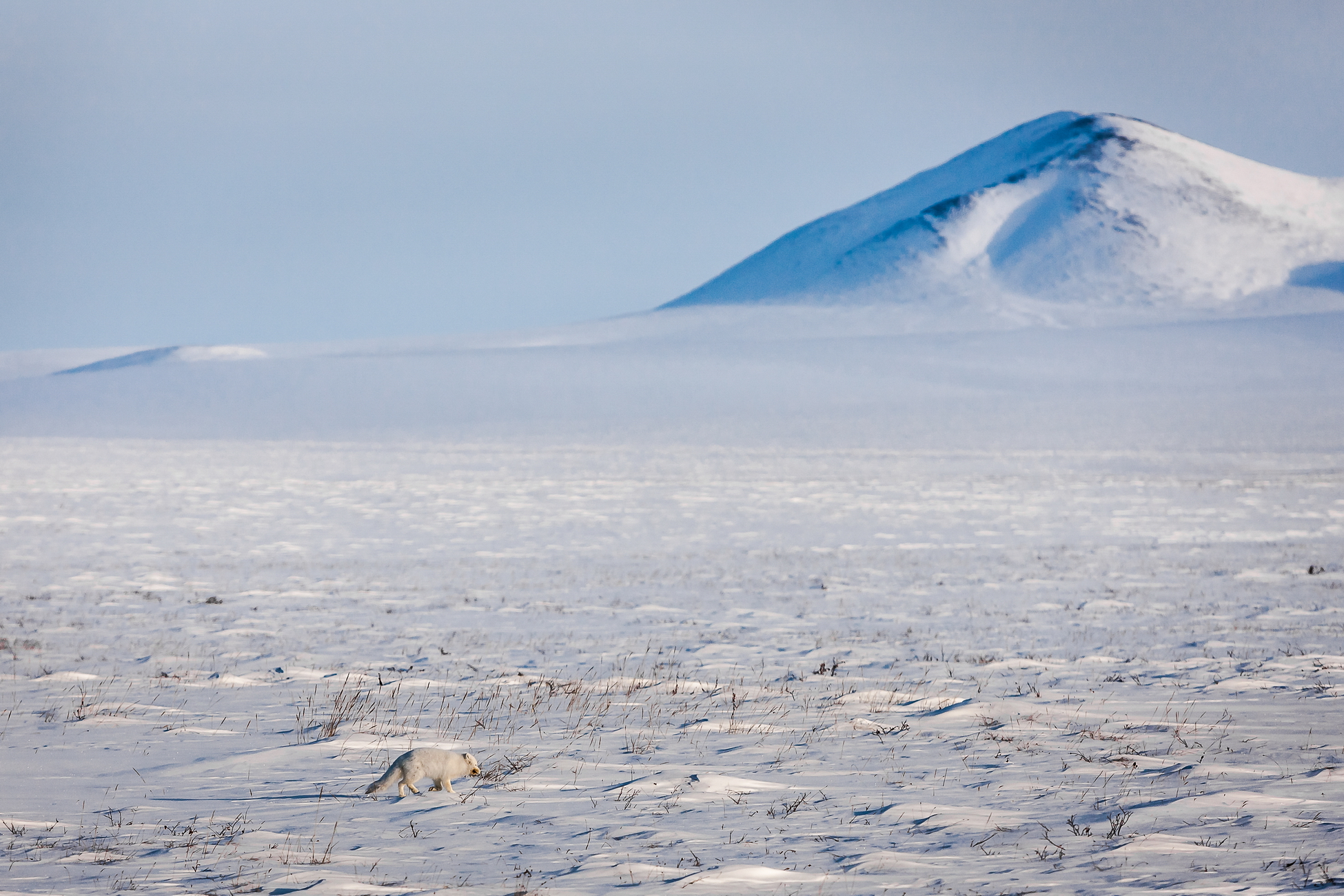 Арктика за неделю: важнейшие темы арктической повестки с 7 по 11 февраля
