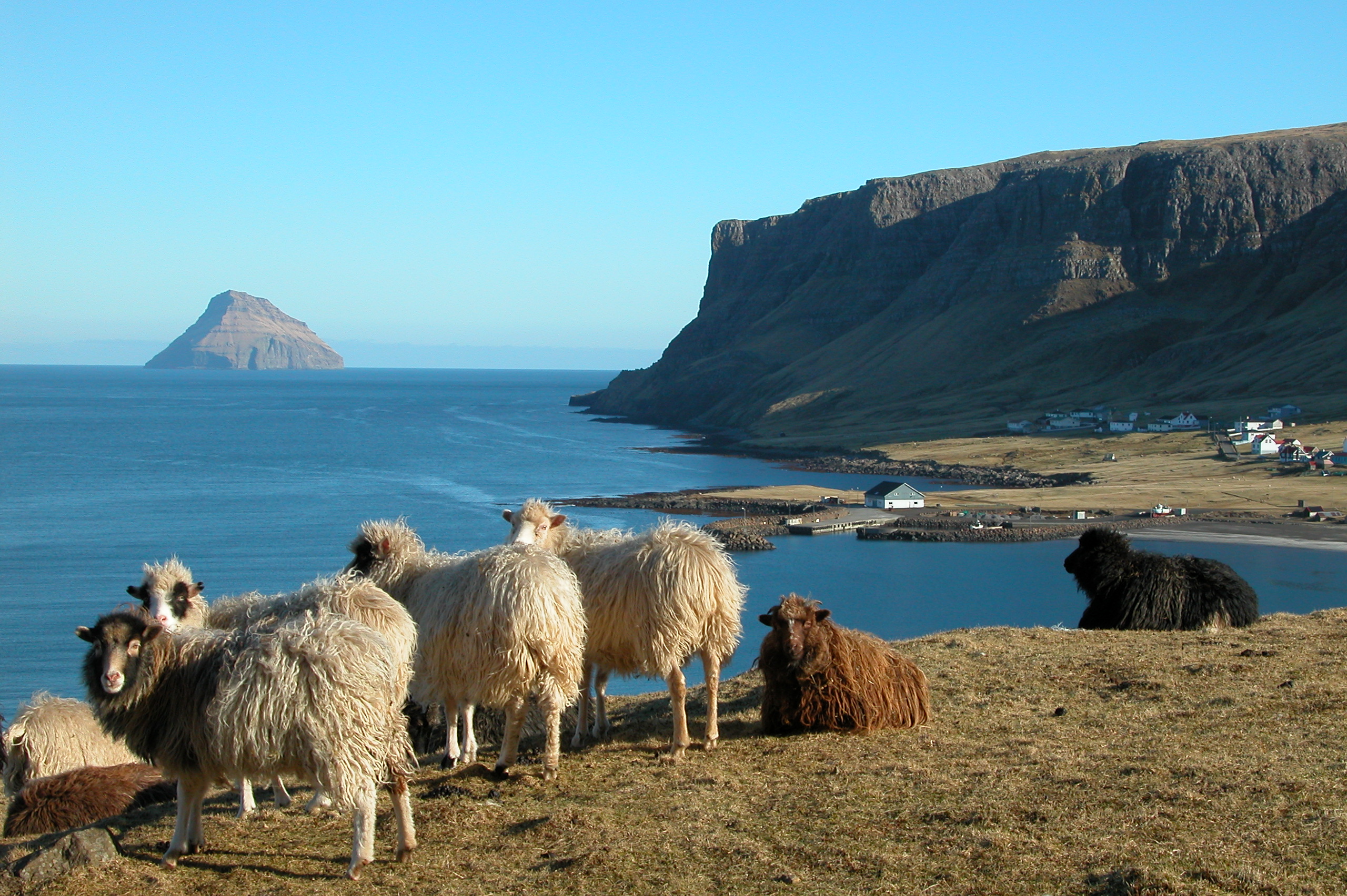Фарерские острова – независимы и зависимы