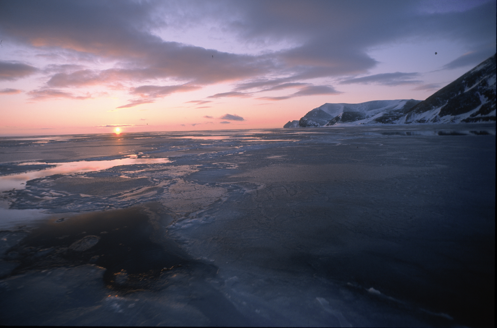 Арктика сегодня: как «Роснефть» решает задачу повышения конкурентоспособности арктической нефти