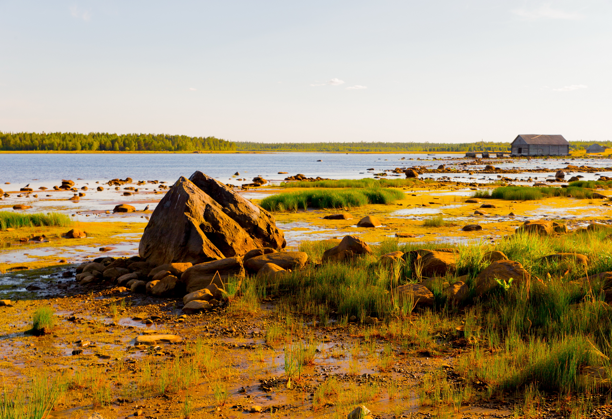 гридино белое море