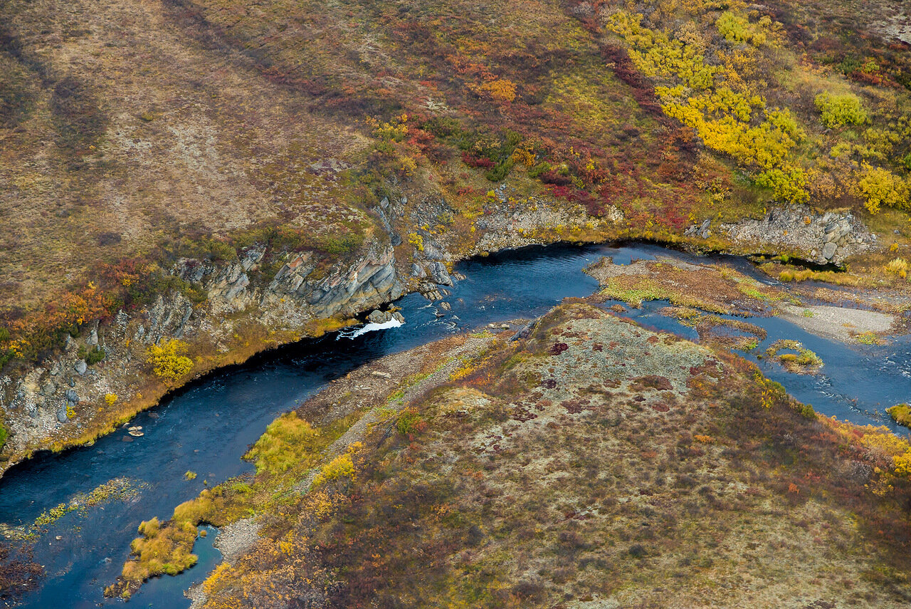 На реке Печора застолбили участок для любительского лова сёмги