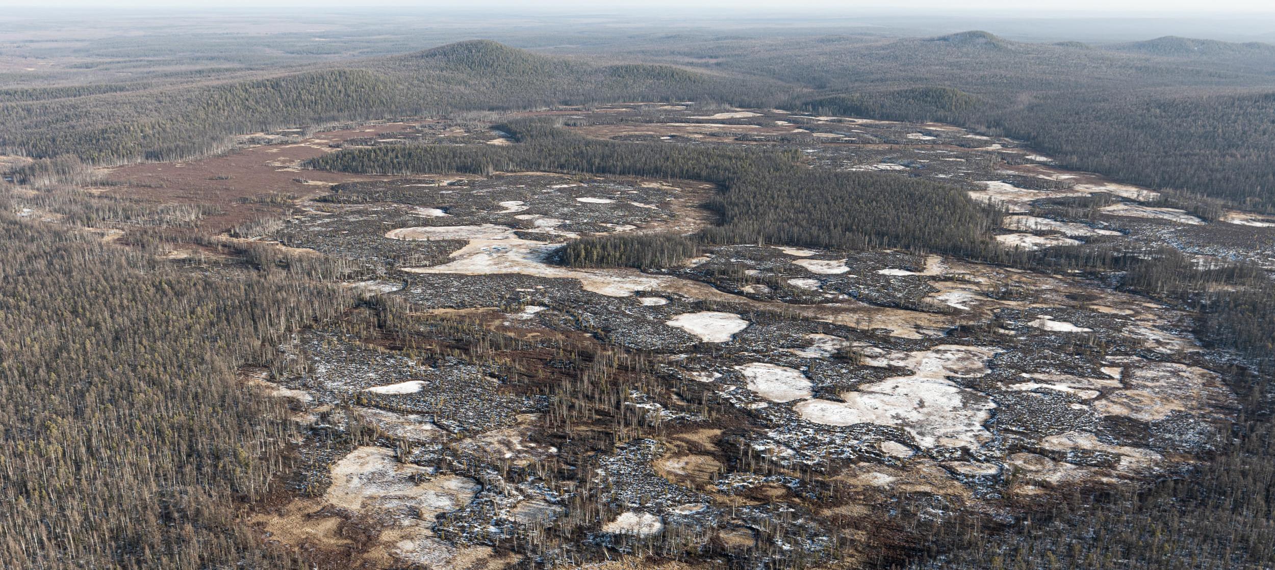 Тунгусский феномен: метеорит, который так и не нашли 