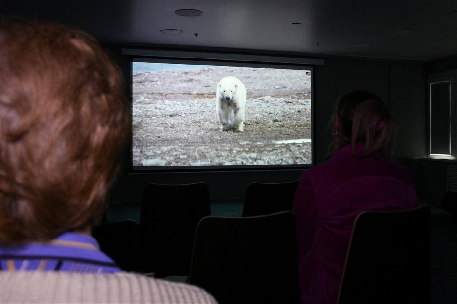 Документальный фильм «Я – белый медведь» показали в Архангельске 