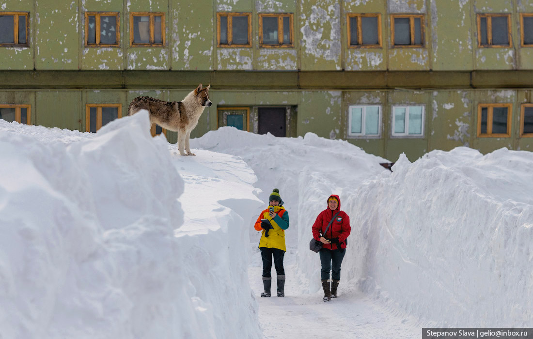 Статус снега: отходы или временный сезонный материал? По мнению эксперта, утилизация снега в Арктике требует особого подхода