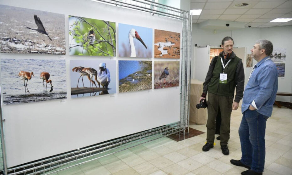 В Салехарде проходит фотовыставка редких птиц