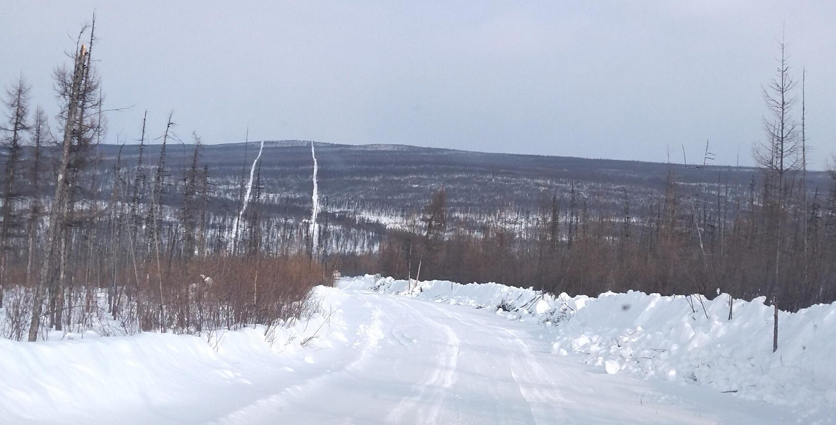 Рассылка «ПОРА в Арктику! GoArctic!» – выпуск от 29 марта 2026 года