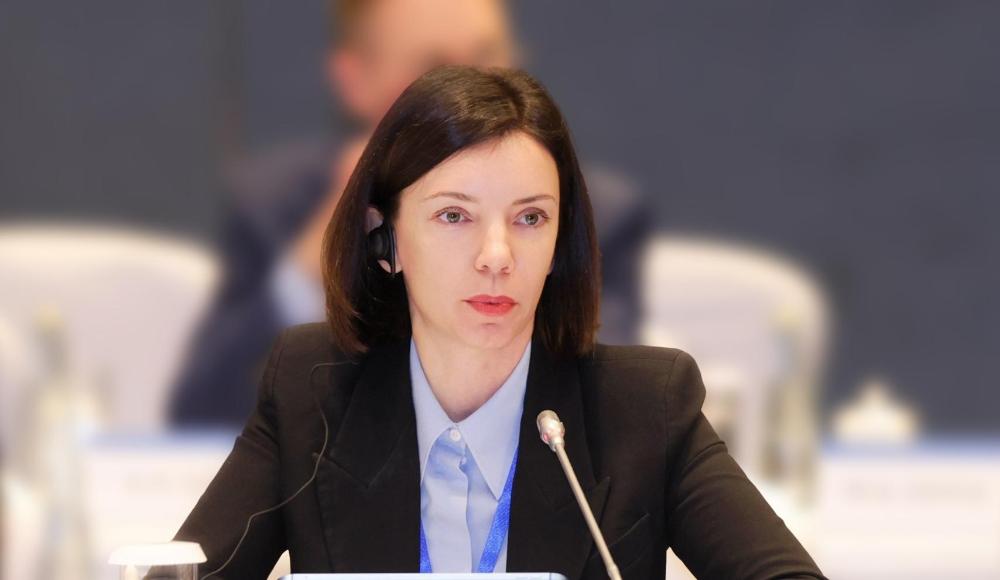 Светлана Панфилова: «Мурманская область укрепляет свой статус глобального арктического хаба»