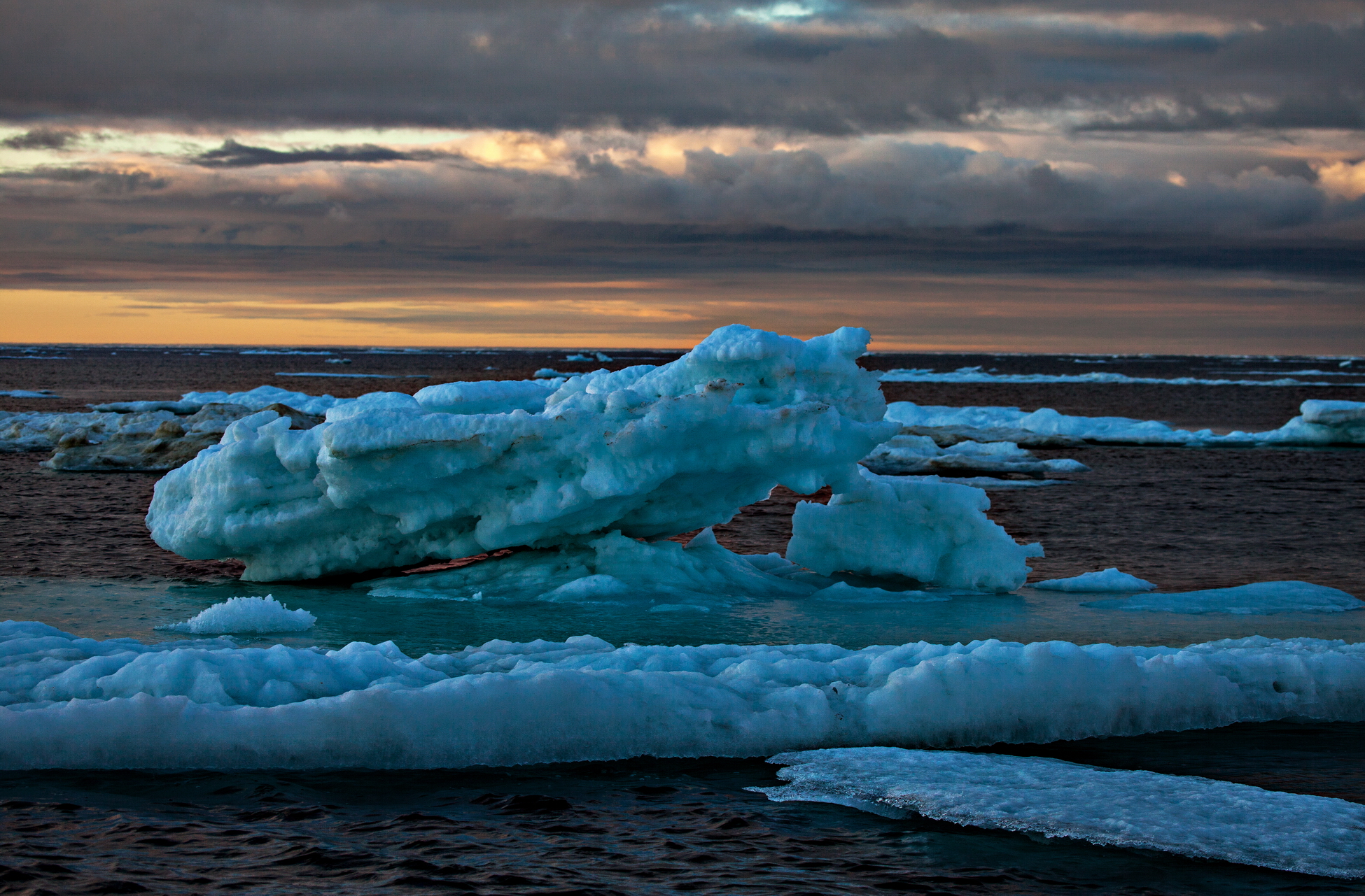 Арктика сегодня. Впервые изучено вертикальное распространение жизни в Северном Ледовитом океане