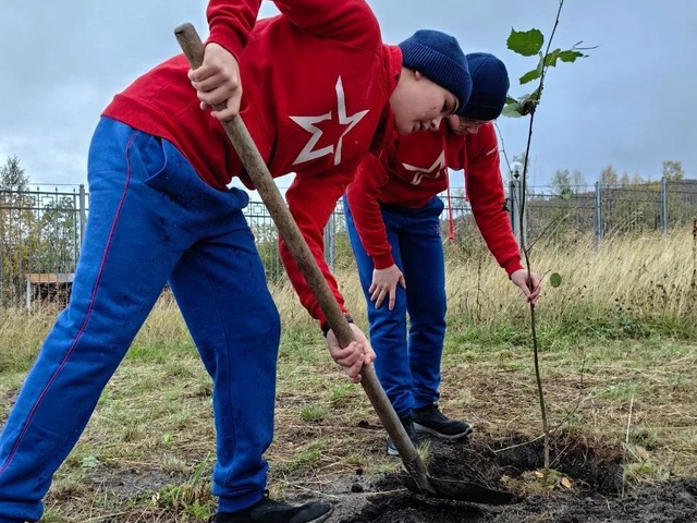 Курсанты Нахимовки посадили сто деревьев в Мурманске Курсанты Нахимовки посадили сто деревьев в Мурманске