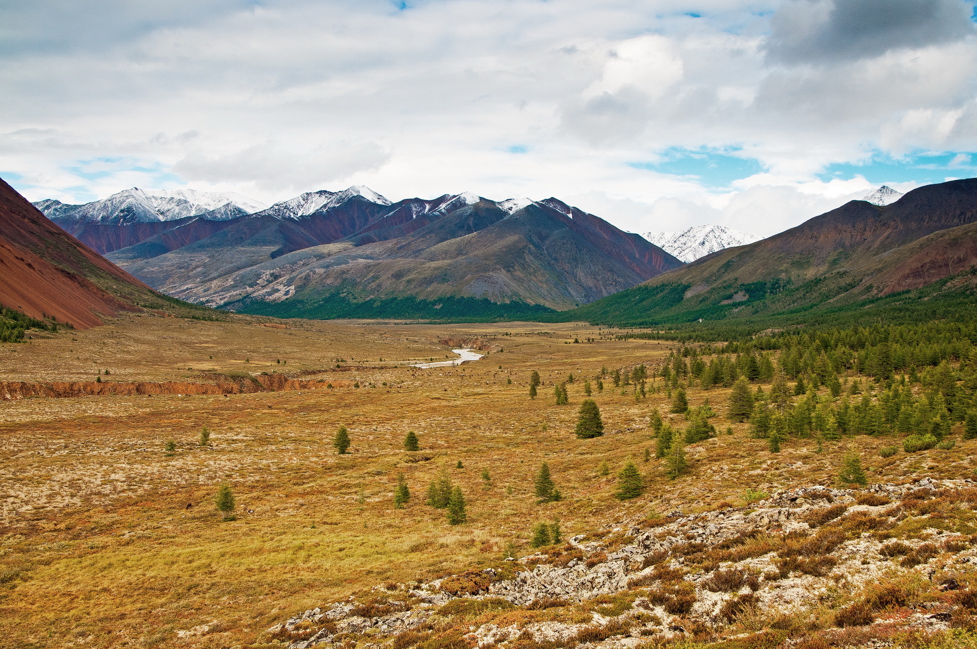Арктика сегодня. 3 тысячи человек получили земельные участки в АЗРФ по программе «Дальневосточный гектар»
