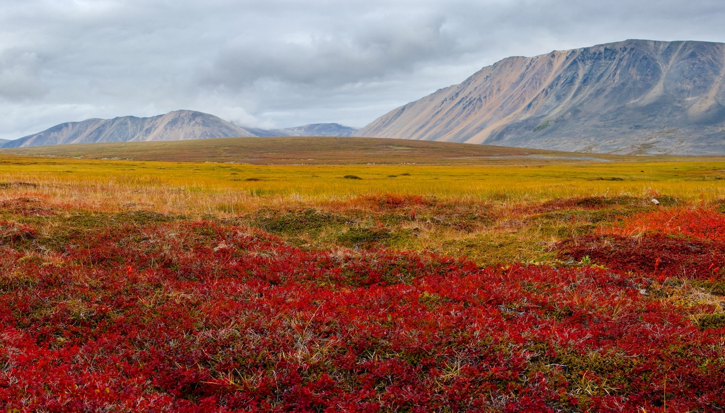 Медный кластер на Чукотке: разведано более 1 млн тонн меди, при этом в регионе уже строят один из крупнейших в мире ГОКов