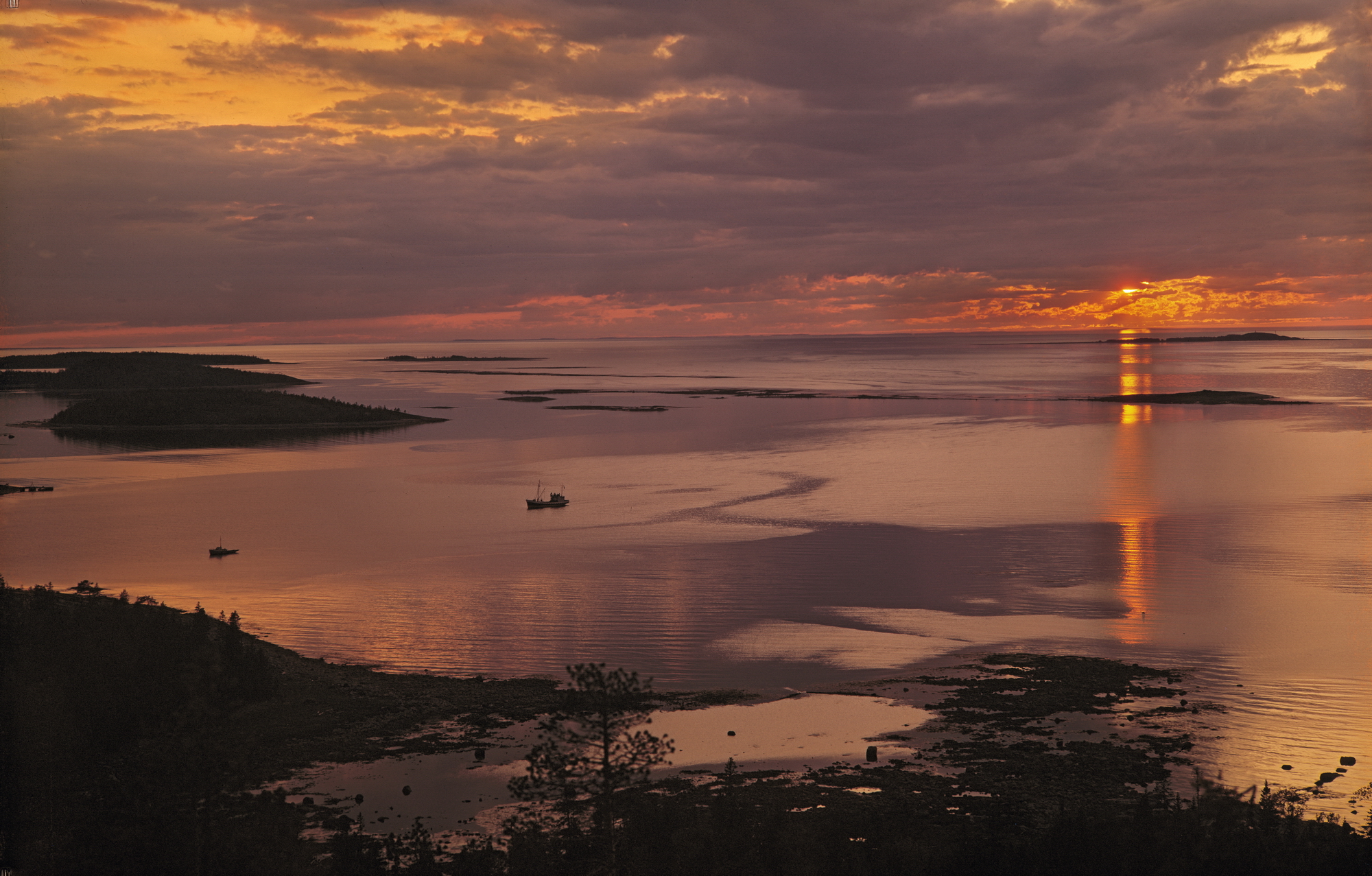 Арктика сегодня. Правительство увеличило площадь ТОР «Столица Арктики» для размещения контейнерного терминала