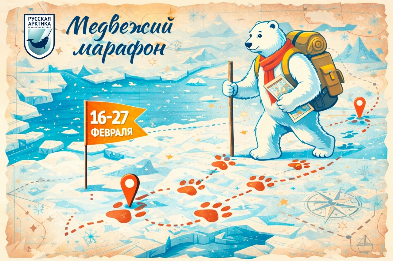 Национальный парк «Русская Арктика» объявил творческий «Медвежий марафон», и первое задание нужно сделать до 19 февраля
