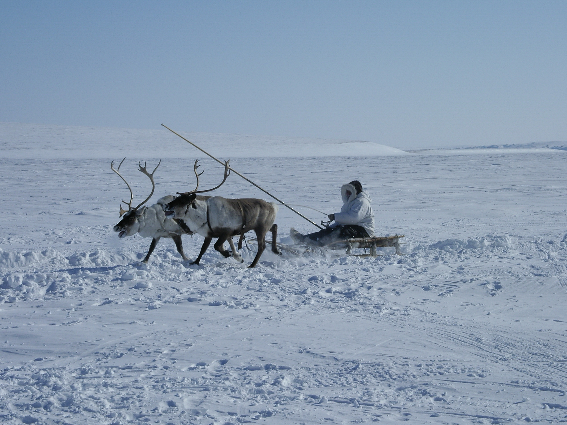 Арктика сегодня. Якутские программисты создадут маркетплейс для КМНС