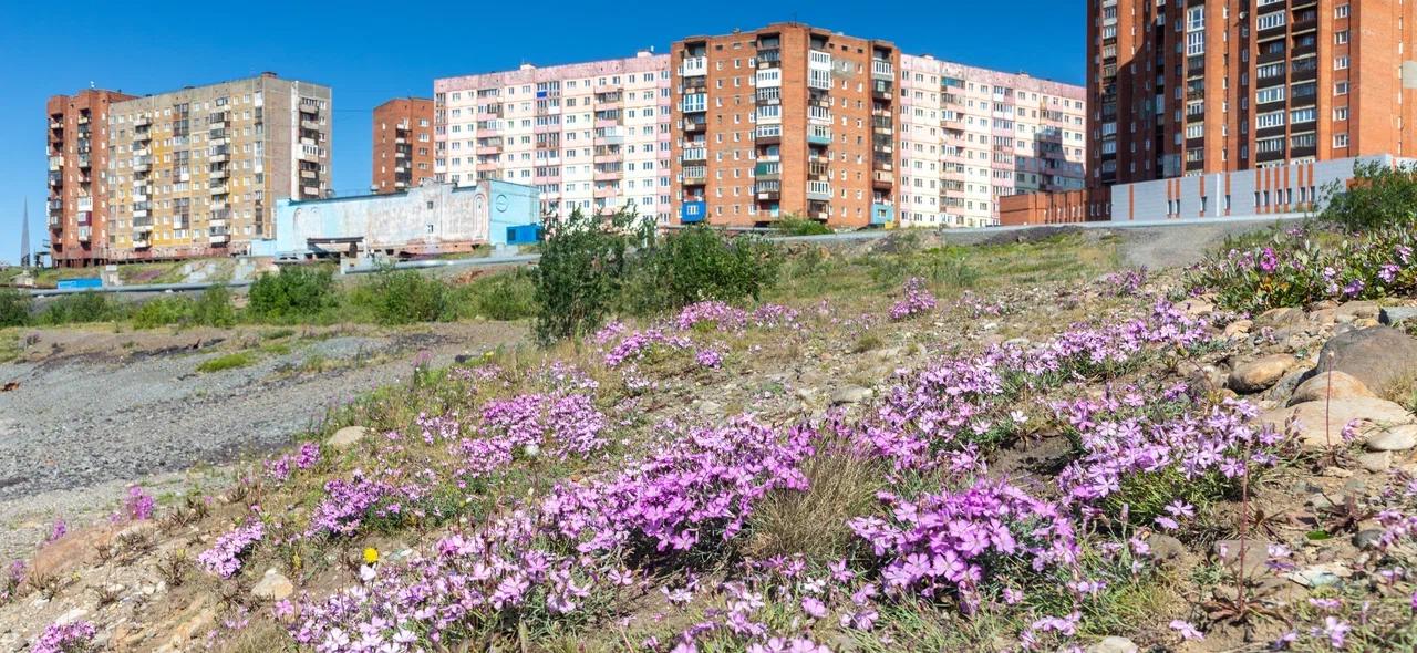 Полярный день Норильска
