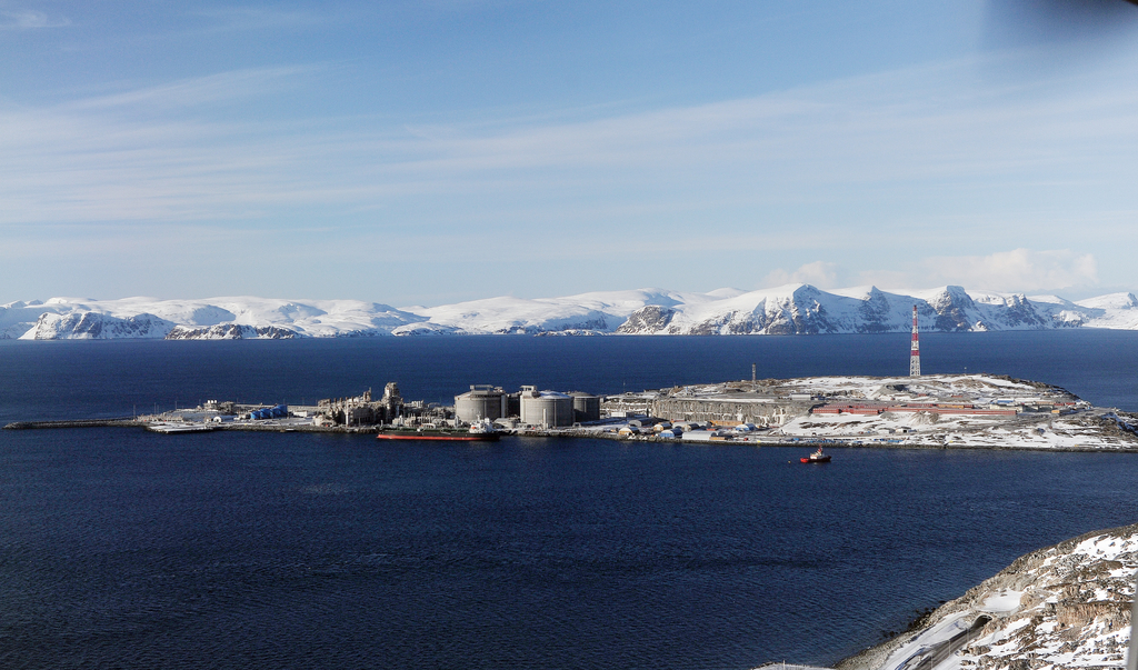 Новый способ сохранения природы в Арктике – углеродные хранилища