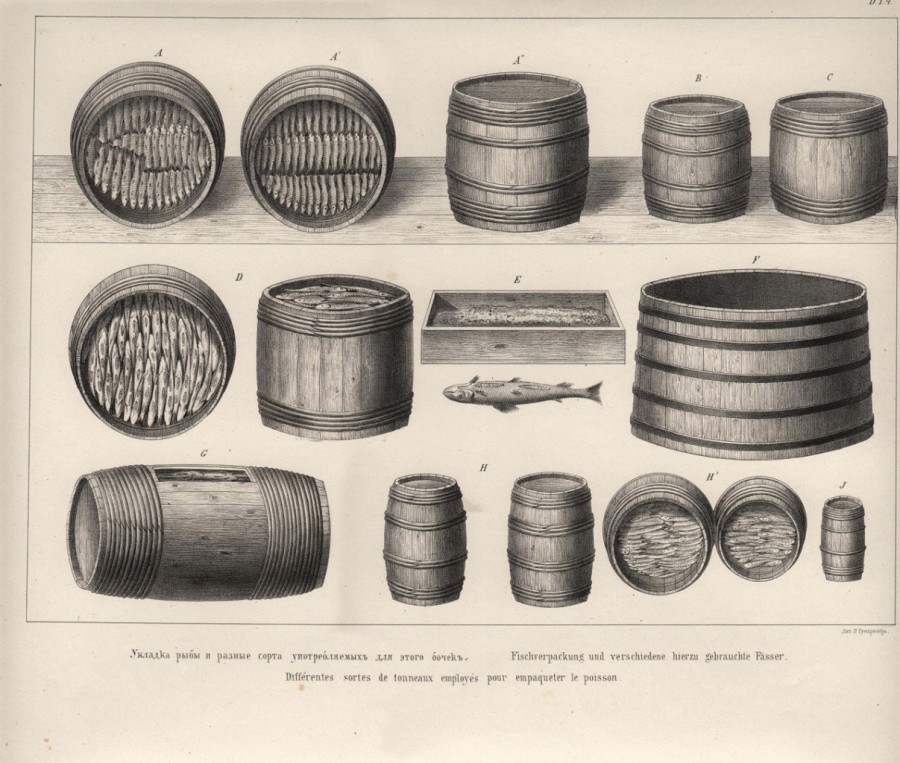Рисунок как сельдей в бочке