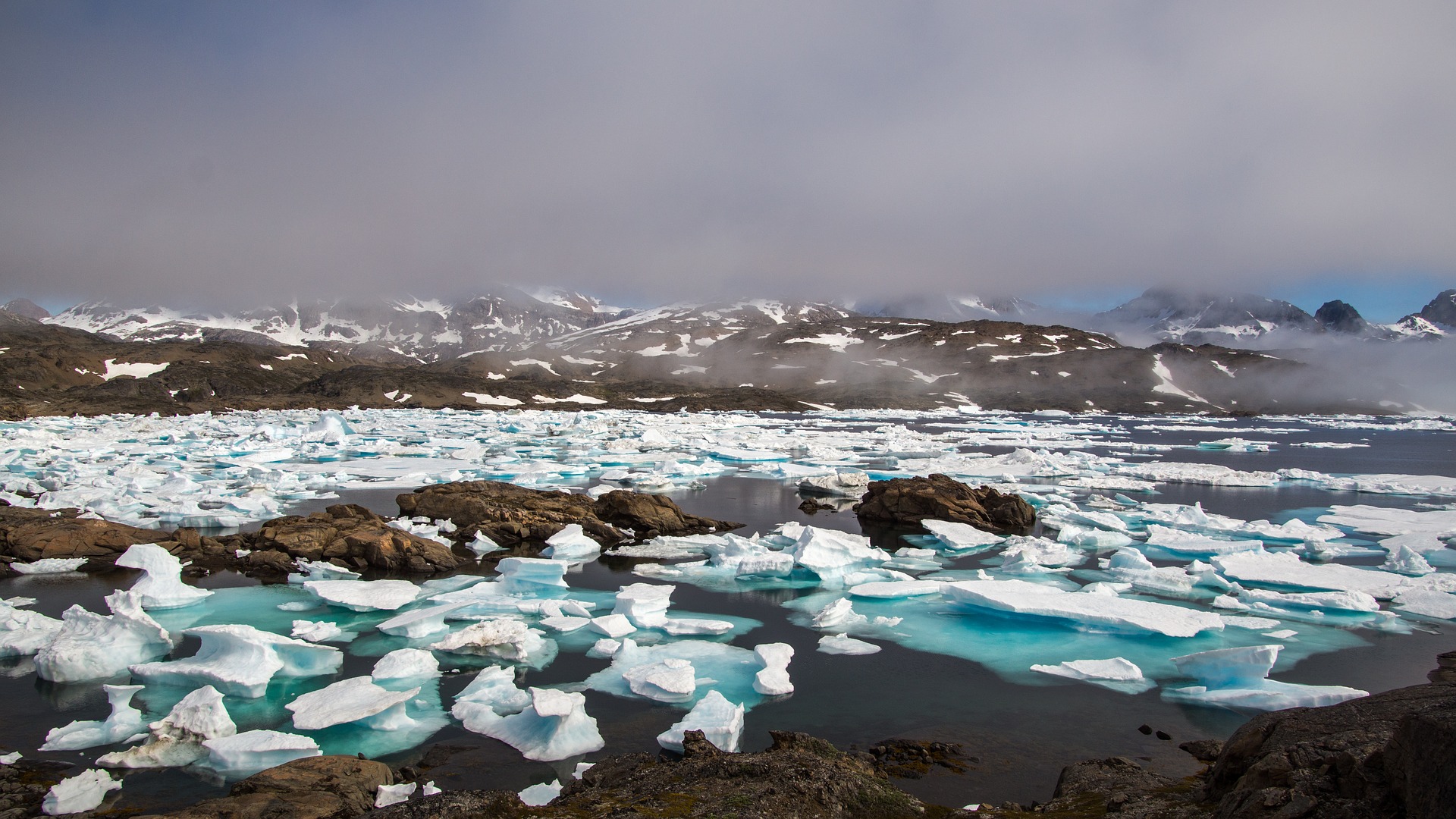 Арктика сегодня: льготы, геология и минутка эко-хайпа