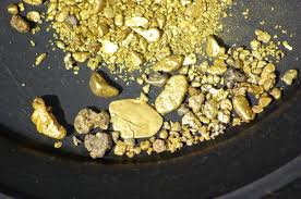 Поисковые работы на золото в пределах участке Каменный Пик (Предложение Минприроды России)