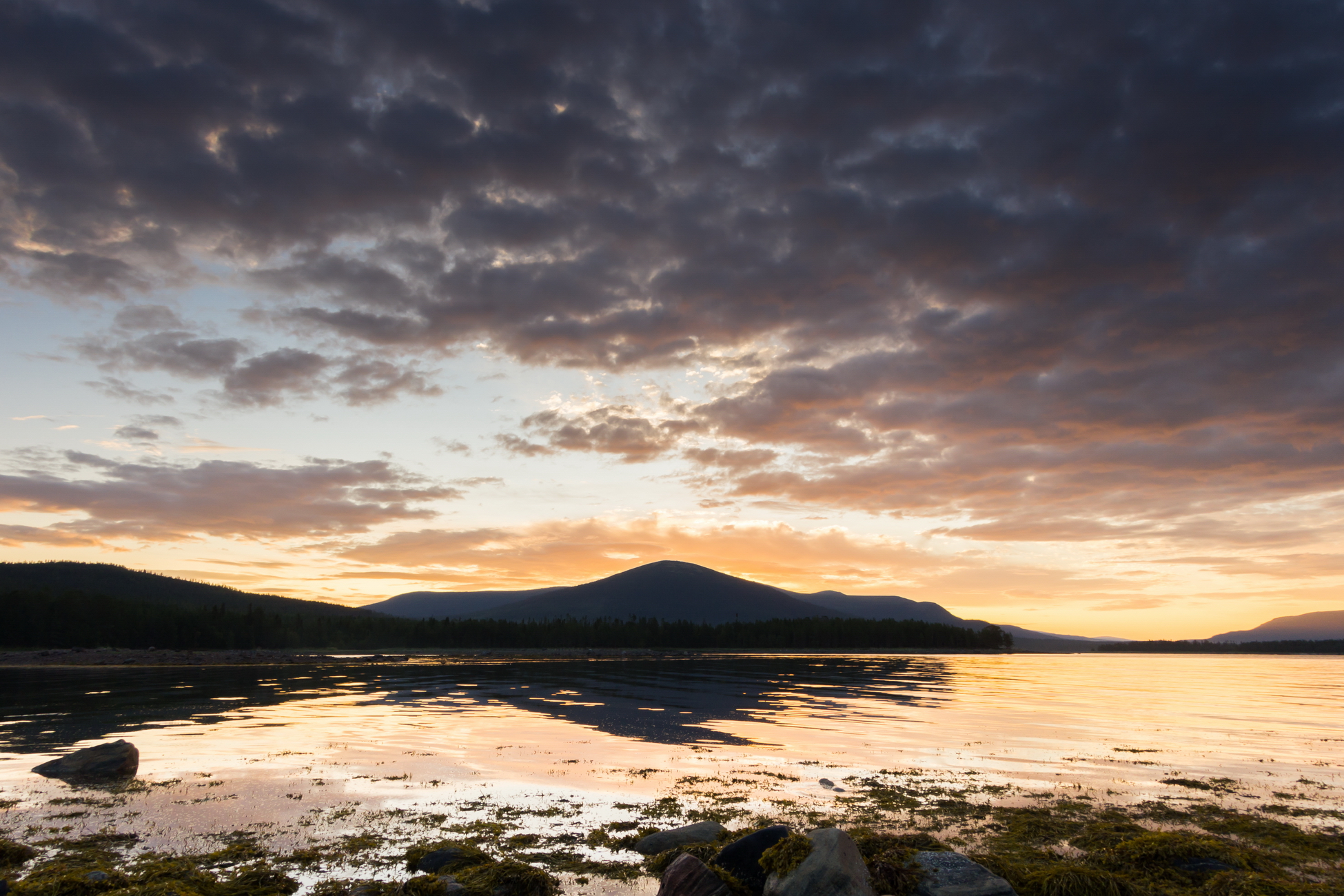 Эксперт ПОРА предложил Совету Федерации идеи по энергетической безопасности в Арктике