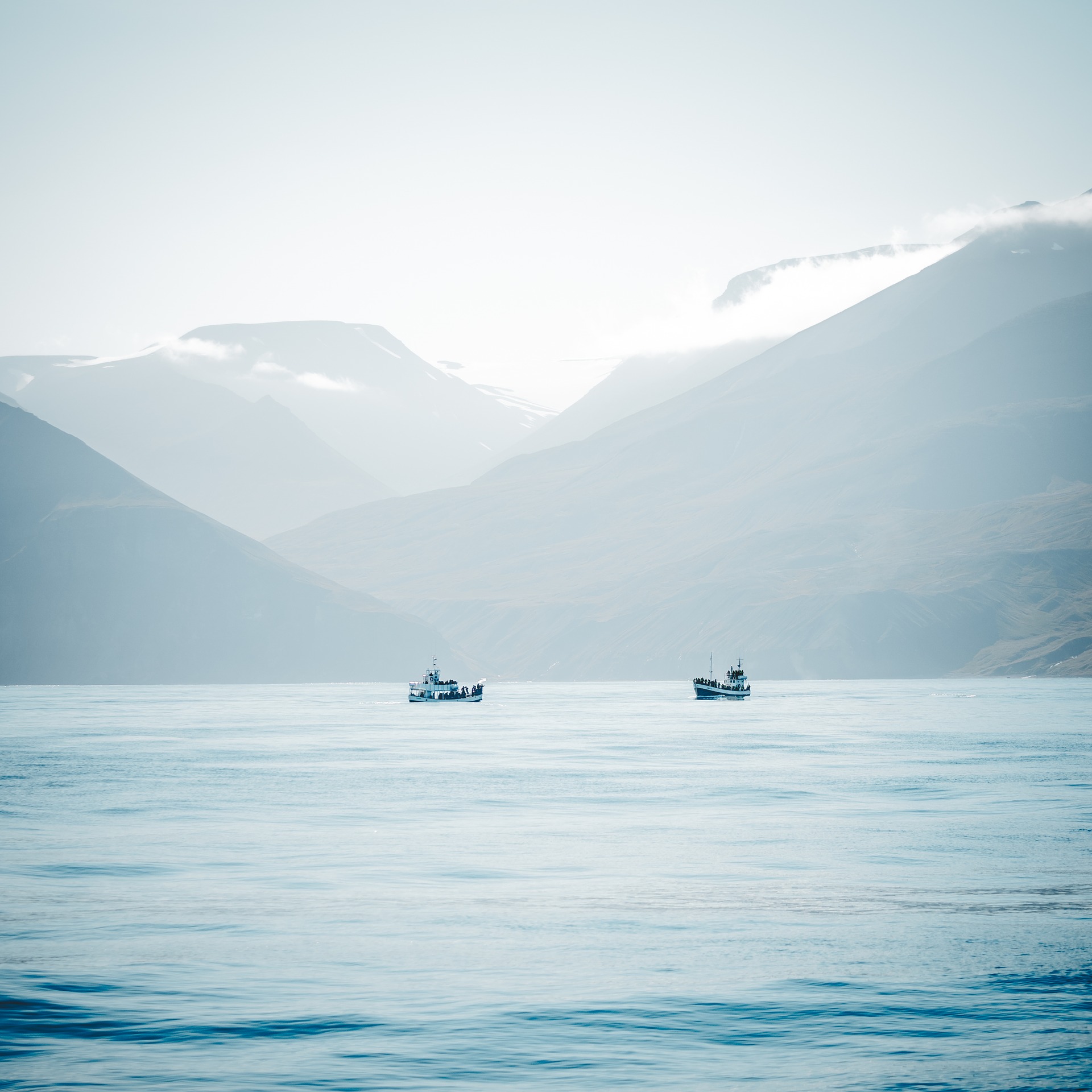 Арктика сегодня: рыболовство и арктический туризм 