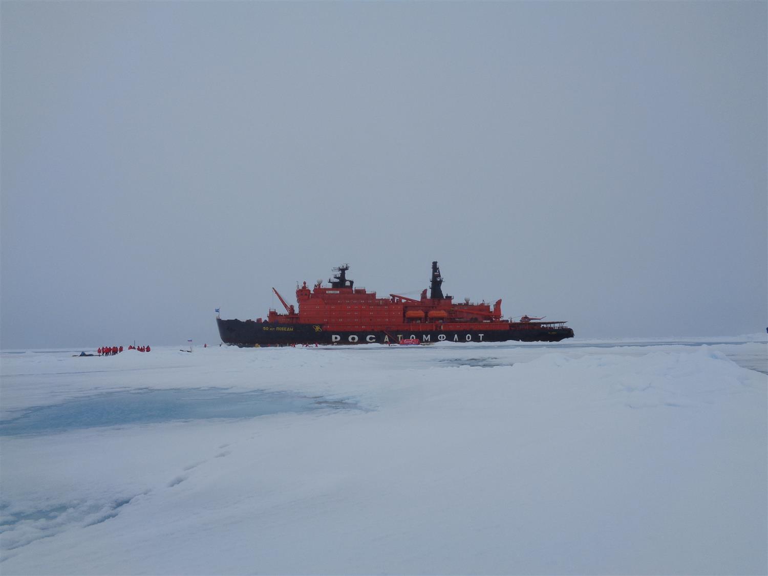 Возобновлены круизы «Русской Арктики» на Северный полюс