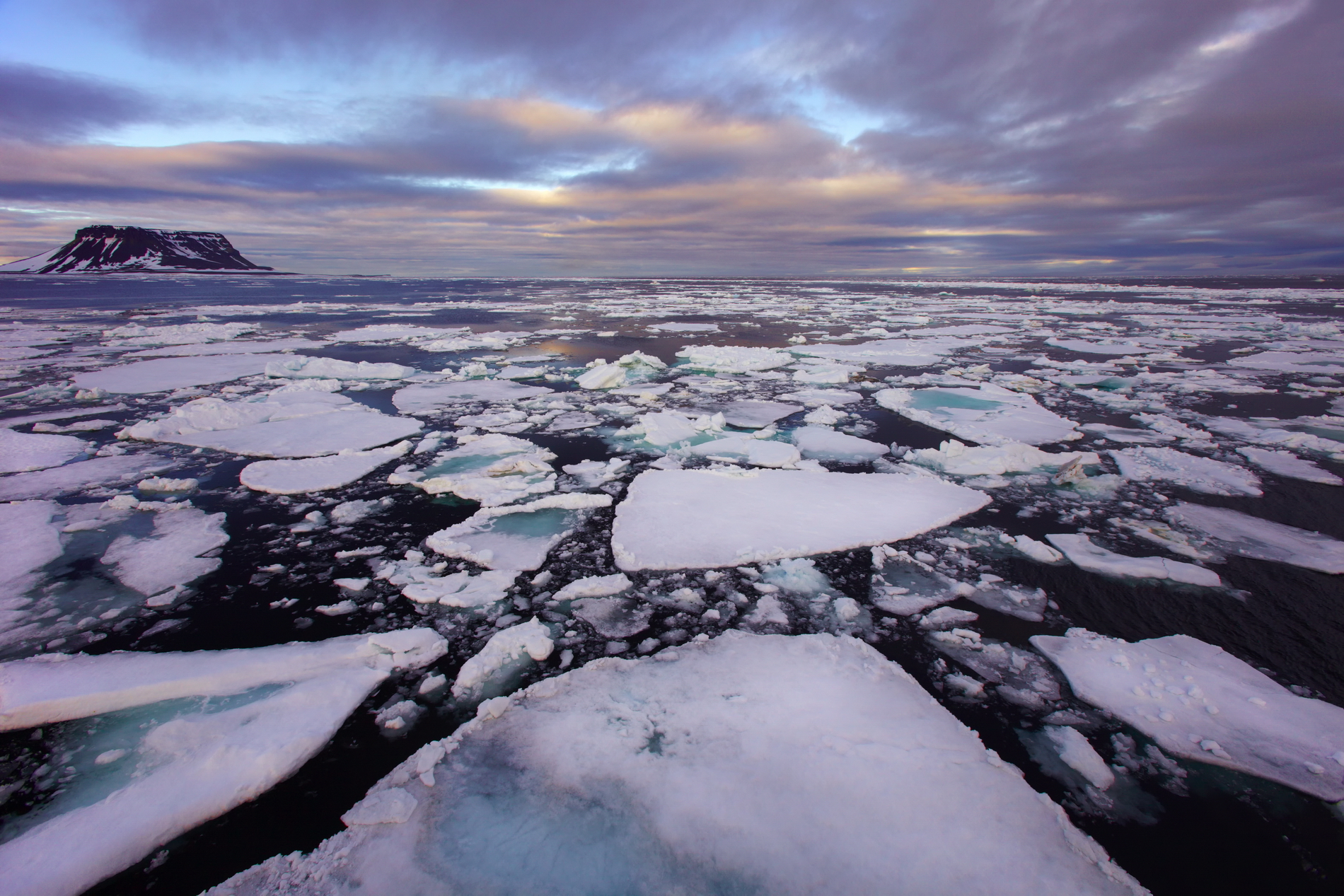 Для экспедиции «Северный полюс-41» выбирают большую льдину