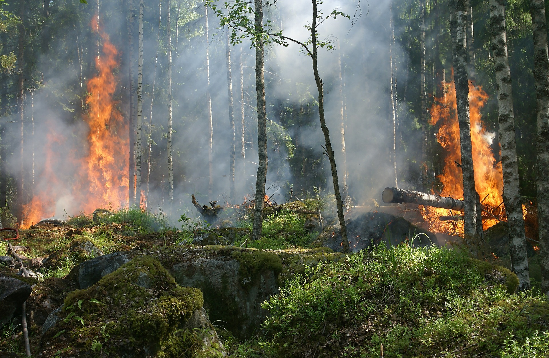 Ямал готов к сезону лесных пожаров