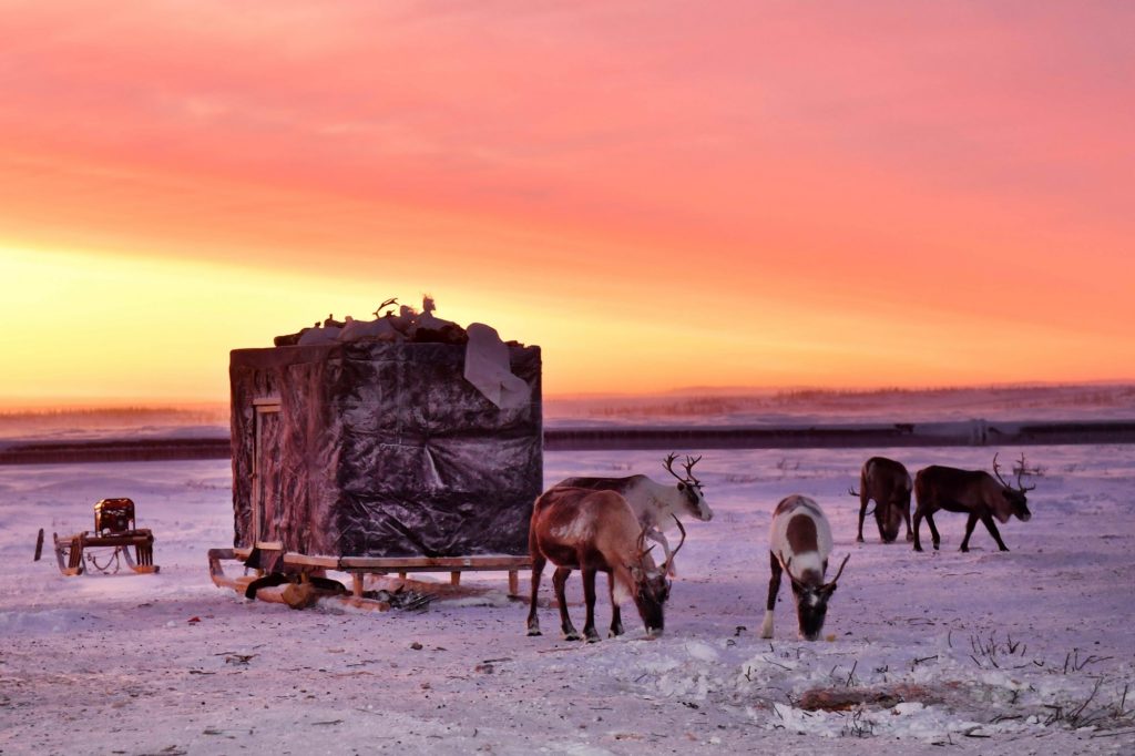 Объявлены результаты фотоконкурса «Красивого пути!», посвященного жизни и работе в Арктике