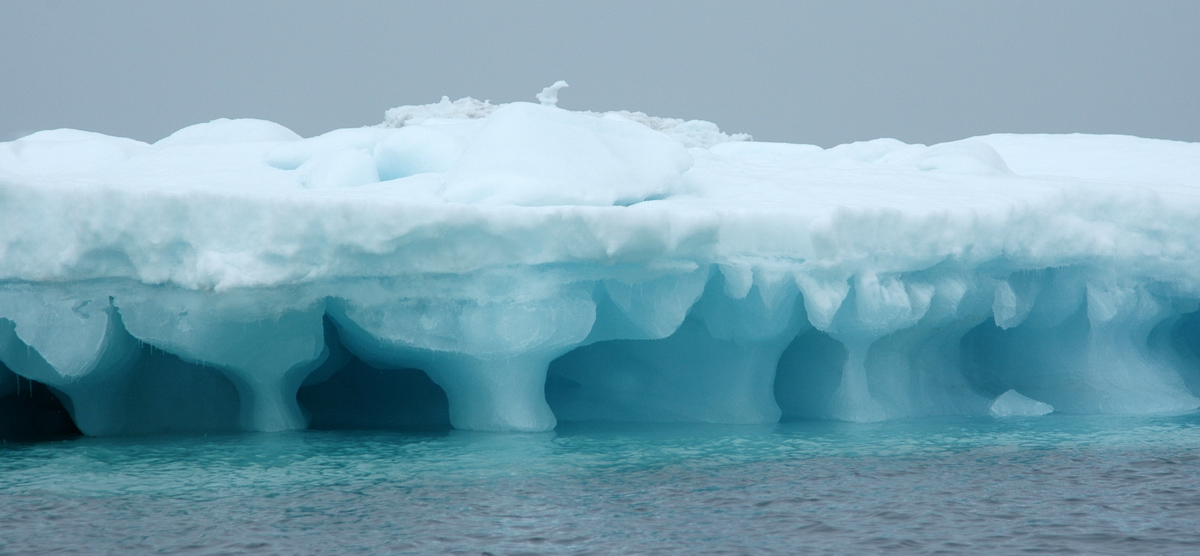 Неоднозначность воздействия парникового эффекта в Арктике и Антарктике: Арктика теплеет, Антарктика холодеет