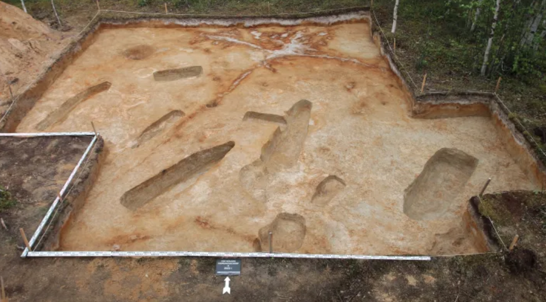 Результаты археологического сезона в ЯНАО: раскопки, мумии, планы, приметы и кошка