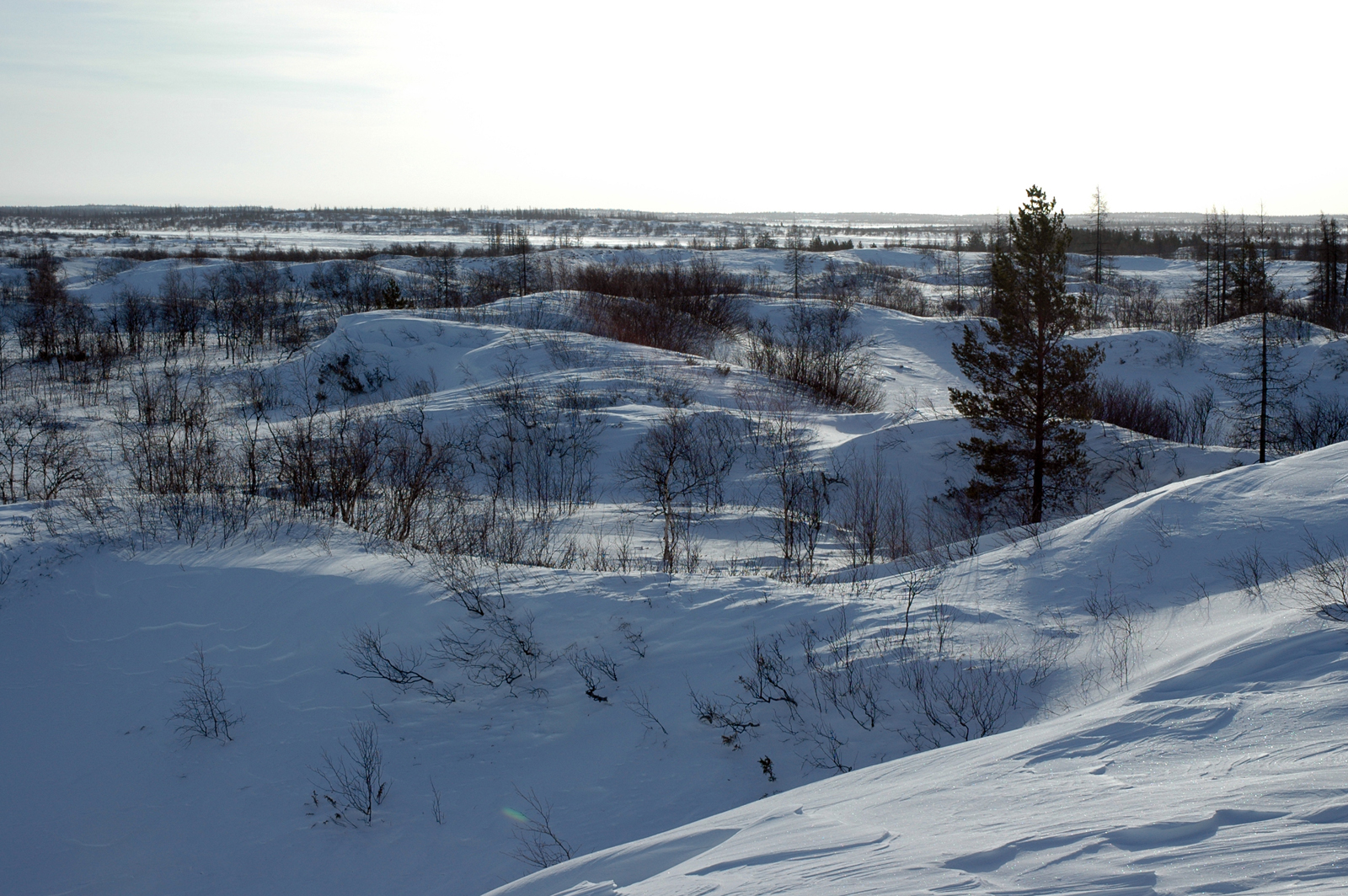 Холод стал предметом антропологического исследования в Якутии