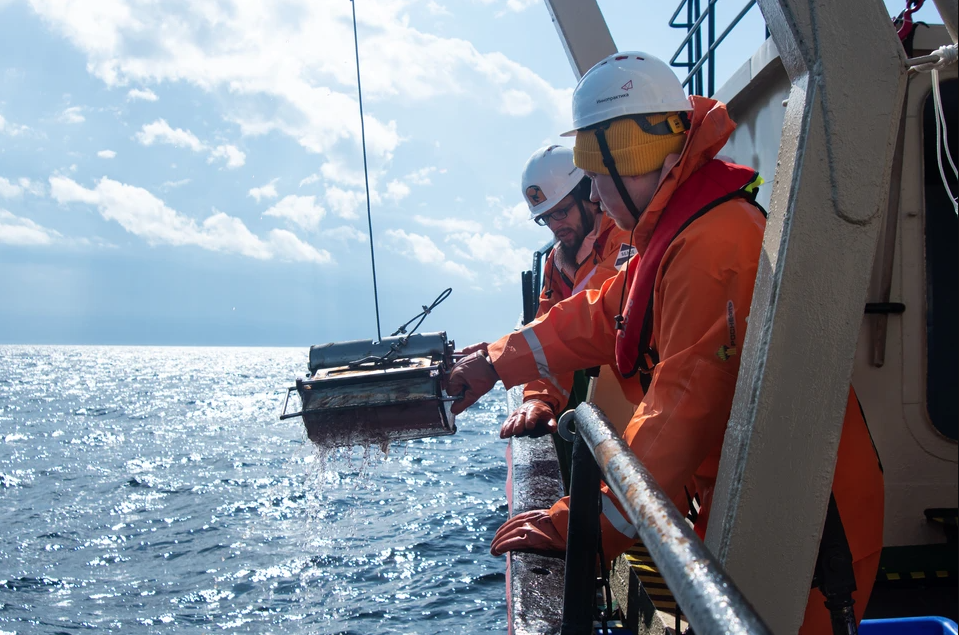 Экосистема Белого моря 100 лет сохраняет стабильность, и её можно использовать как «идеальную модель» экологии северных морей