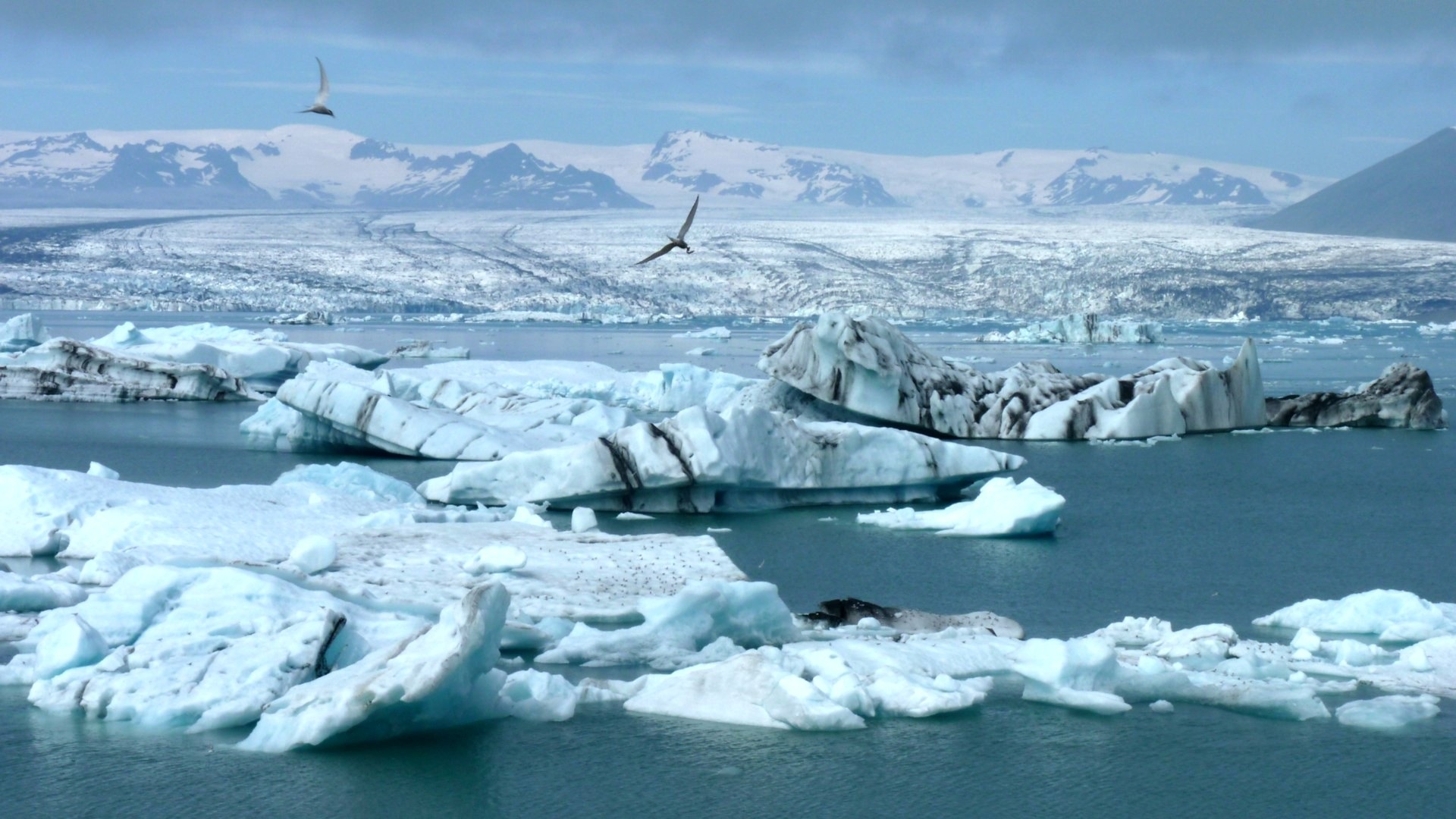 Арктика сегодня: оборона, НОЦ и новые проекты
