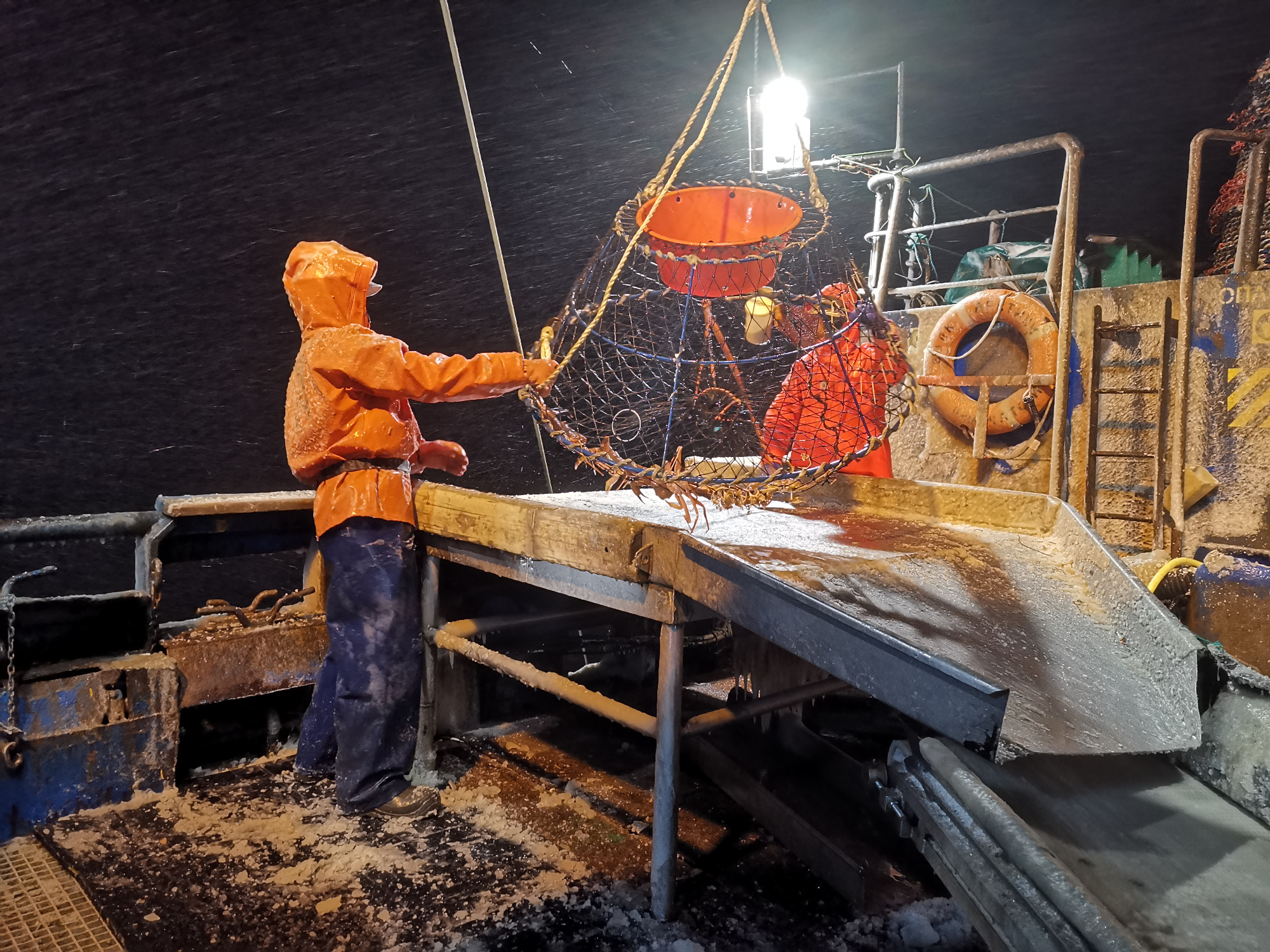 Ихтиологи посетили пути миграции промысловой рыбы в Арктике