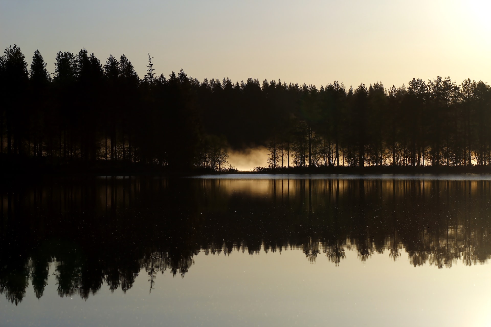 Потепление климата уменьшает поглощение углерода деревьями в Лапландии