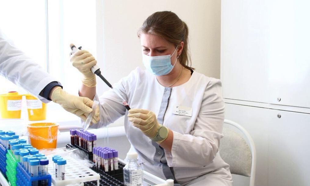 Завершается первый этап проекта «Свет Арктики»